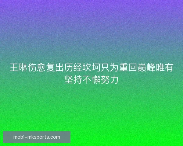王琳伤愈复出历经坎坷只为重回巅峰唯有坚持不懈努力