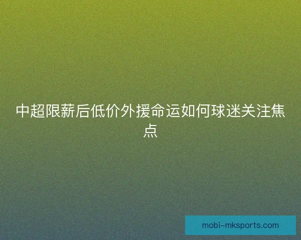 中超限薪后低价外援命运如何球迷关注焦点