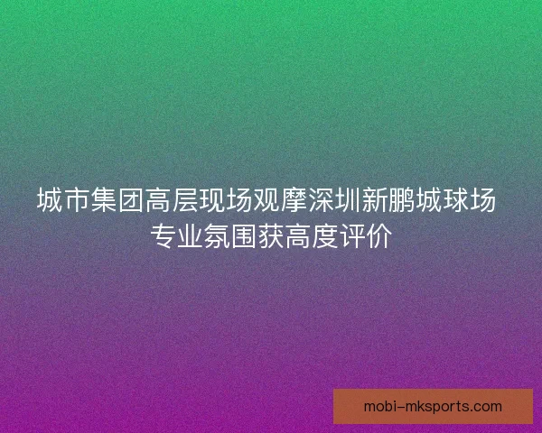 城市集团高层现场观摩深圳新鹏城球场 专业氛围获高度评价