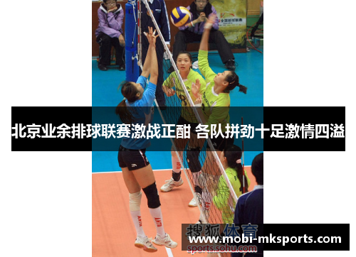 北京业余排球联赛激战正酣 各队拼劲十足激情四溢