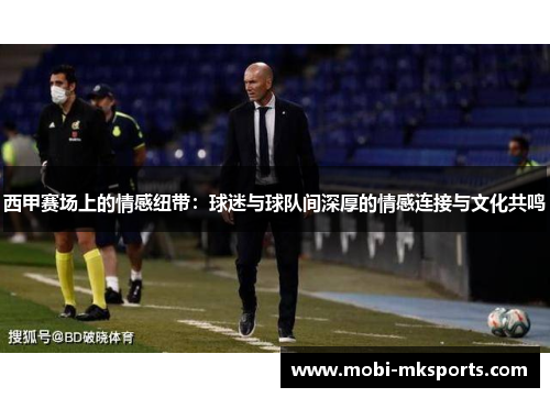 西甲赛场上的情感纽带：球迷与球队间深厚的情感连接与文化共鸣