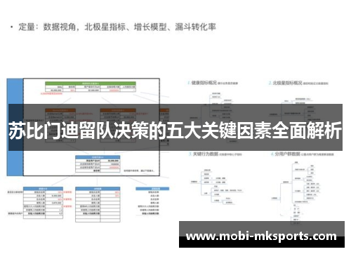 苏比门迪留队决策的五大关键因素全面解析
